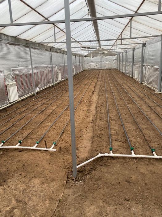 Сдается в аренду теплица, общей площадью 1000 кВ.м.