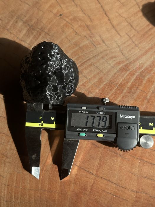 Тренировъчна пластмасова играчка “Трюфел” за кучета