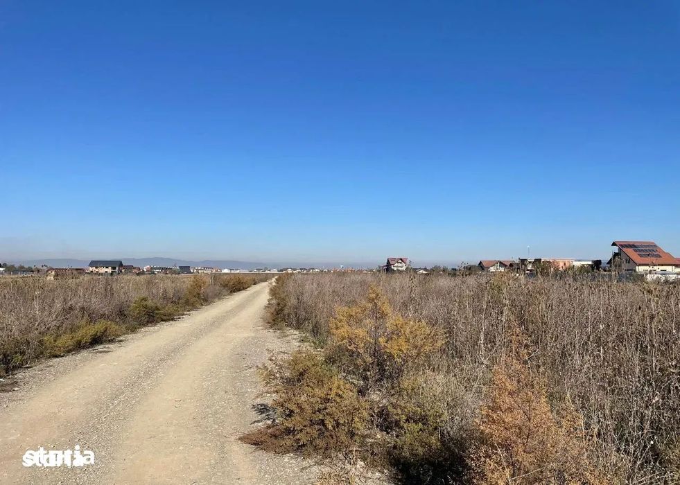 Loturi de casa strada Narciselor suprafata 352mp