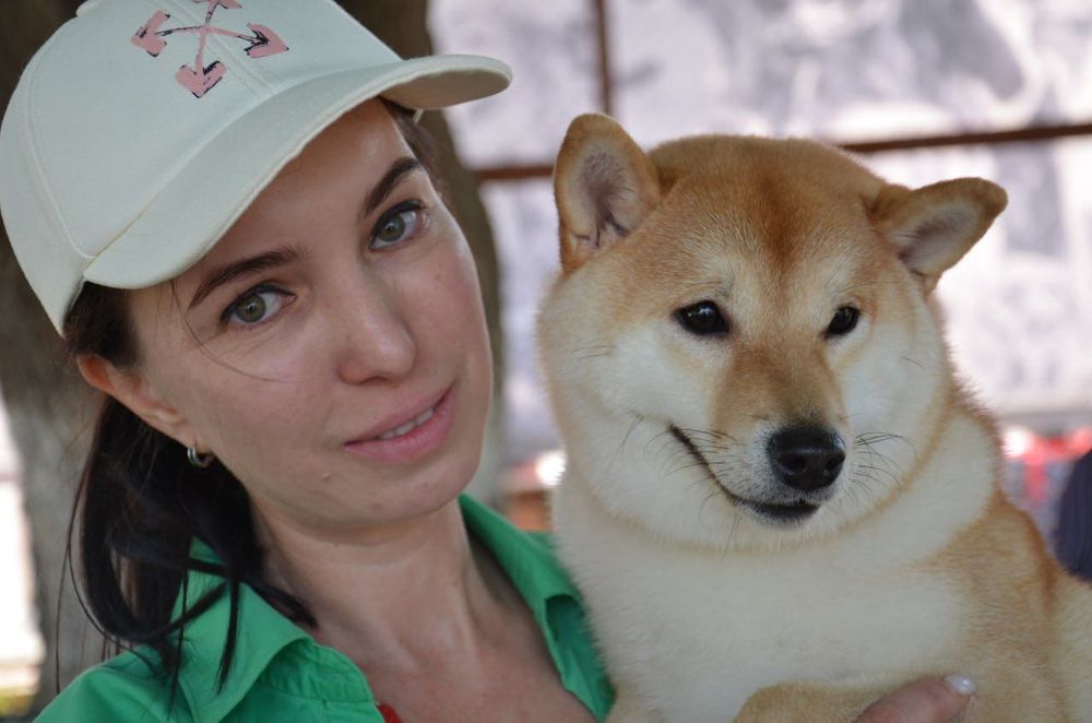 Продаются высоко породные щенки Сиба Ину.