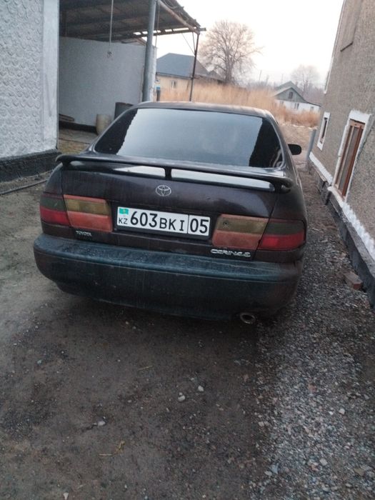 Карина е на ходу