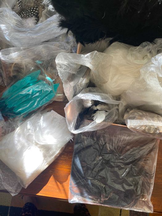 Pene si fulgi naturale (pt obiecte home made)