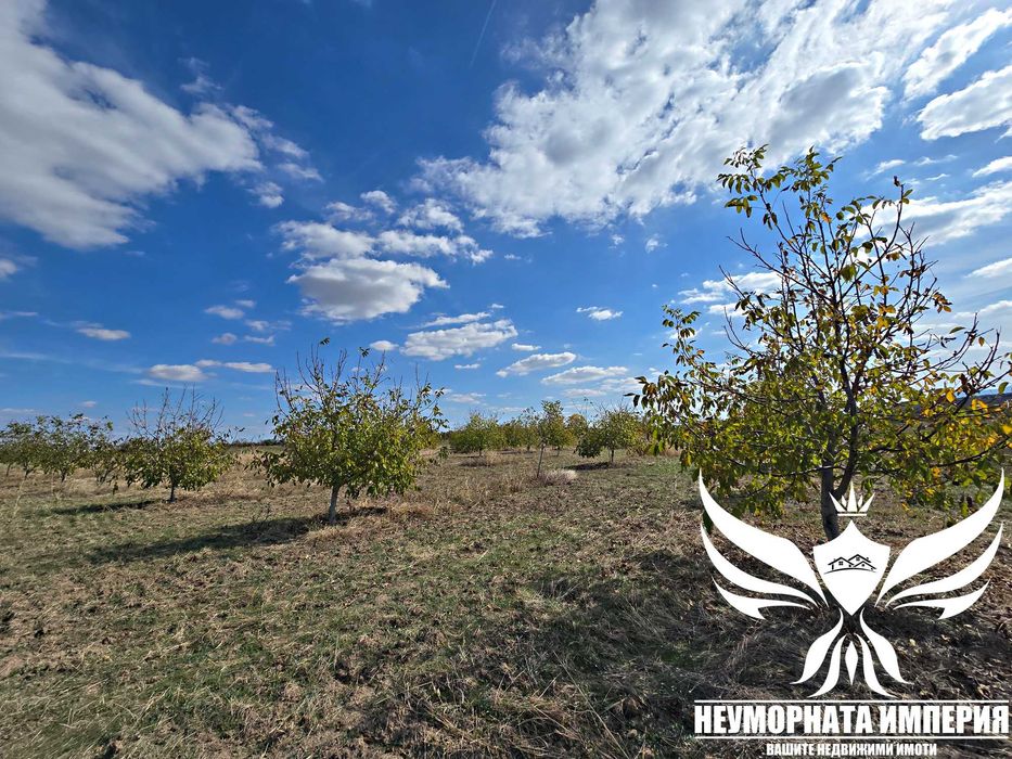 Продавам орехово градина 6650кв.м. в село Козаново