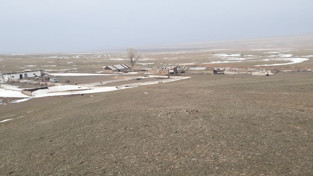 Фазенда сатылады