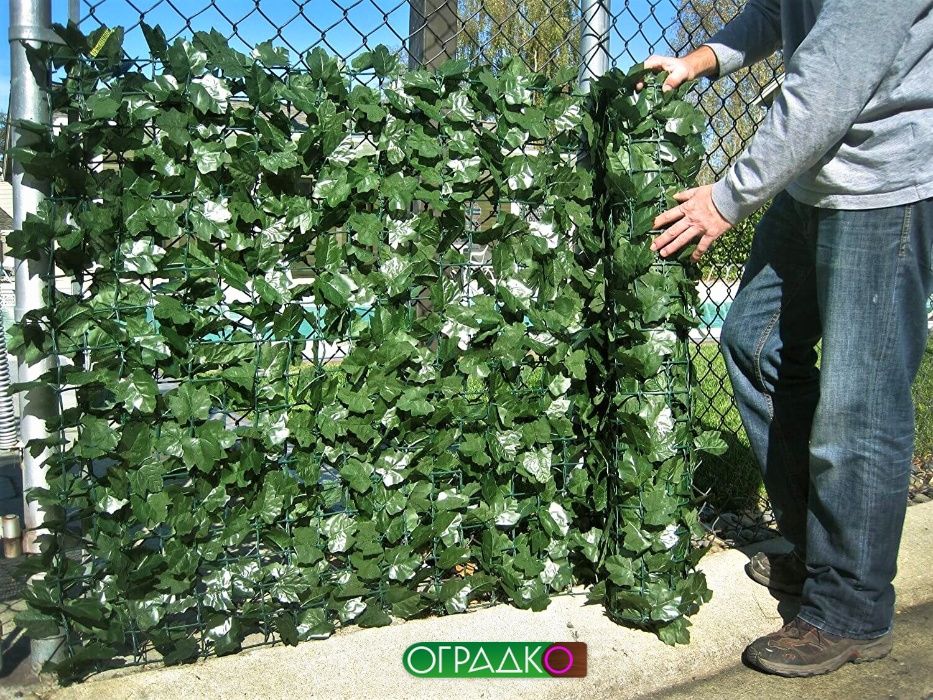 Декоративни оградни пана. Жив плет, бръшлян, чемшир. Най-ниските цени!