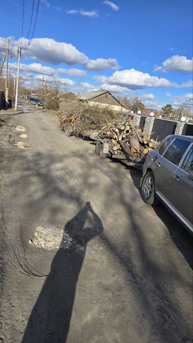 Спил деревьев профессионально