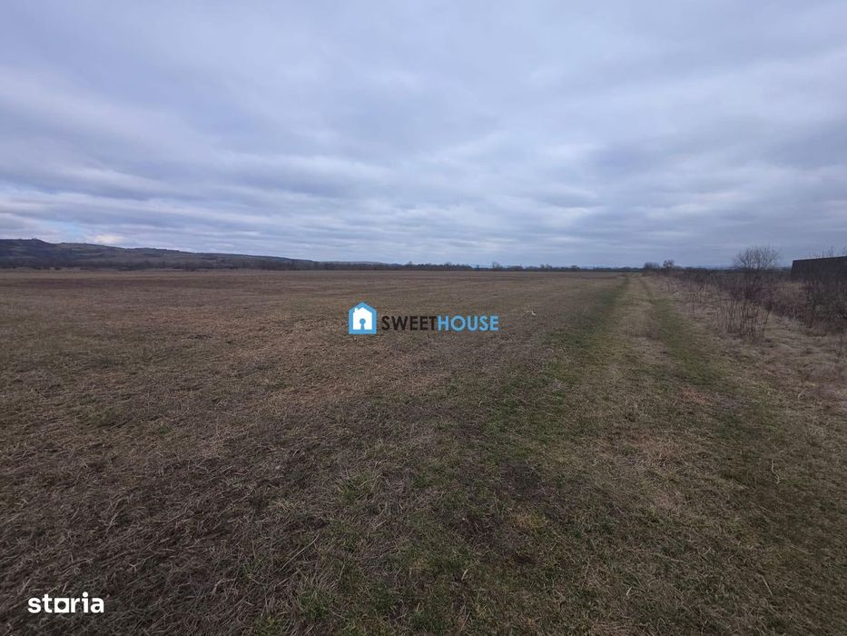 Teren intravilan industrial Fagaras