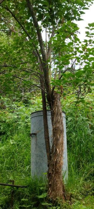 Продам дачу, в районе Каменское плато