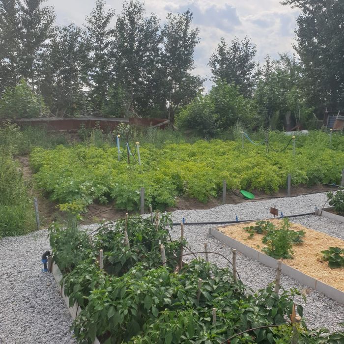 Продам дачу в обществе Весна