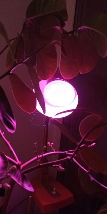 Фитолампа 80 leds