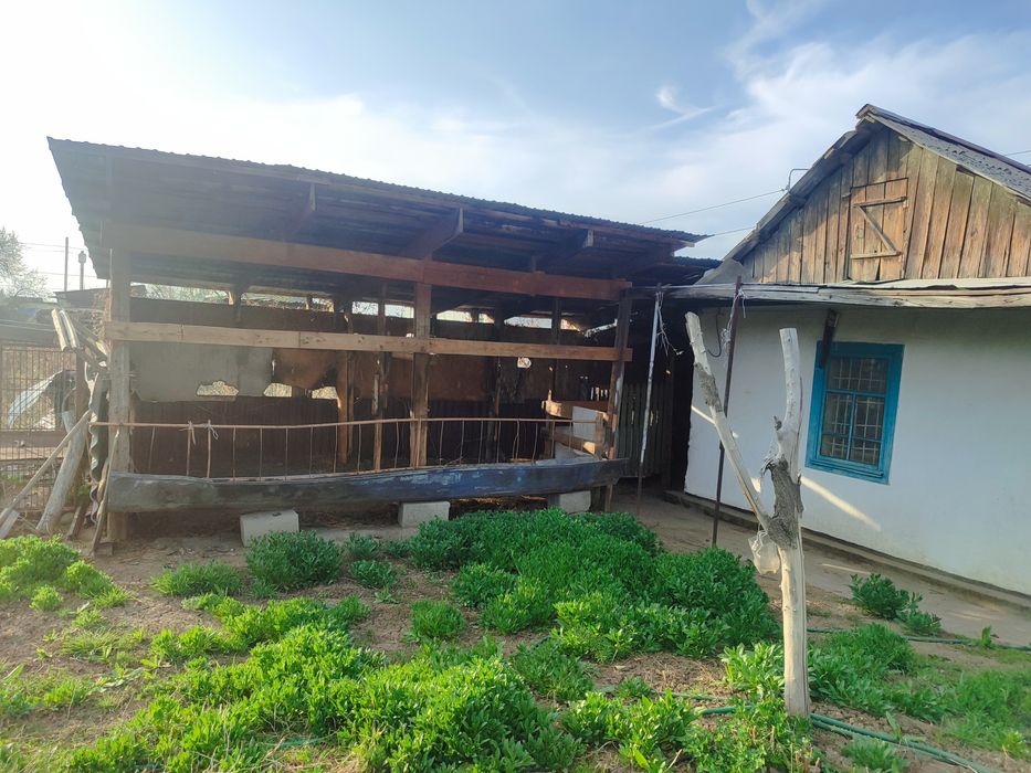 Продам частный дом