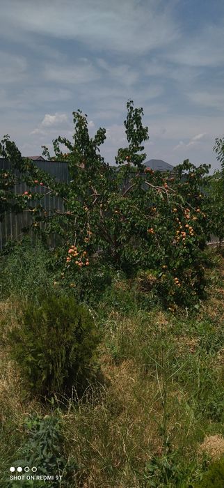 дом 110кв Каскелен ул Бұлақты 29