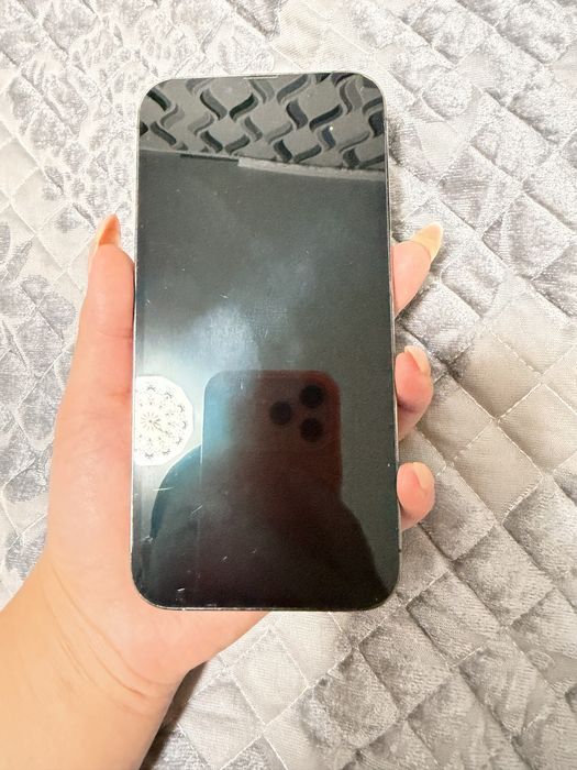 iPhone 13 pro max