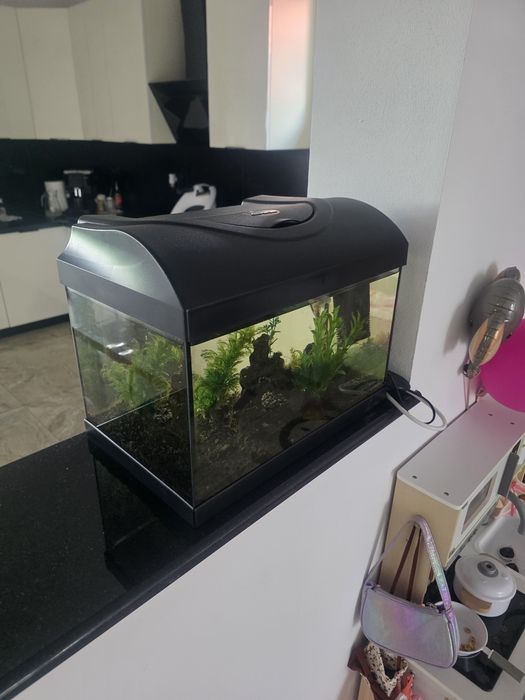 Vand acvariu 25 litri complet fara pesti