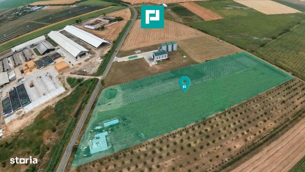 Livadă de 3,6 hectare în Iratoșu – Oportunitate