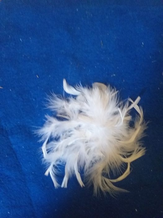 Продам лянгу, игра