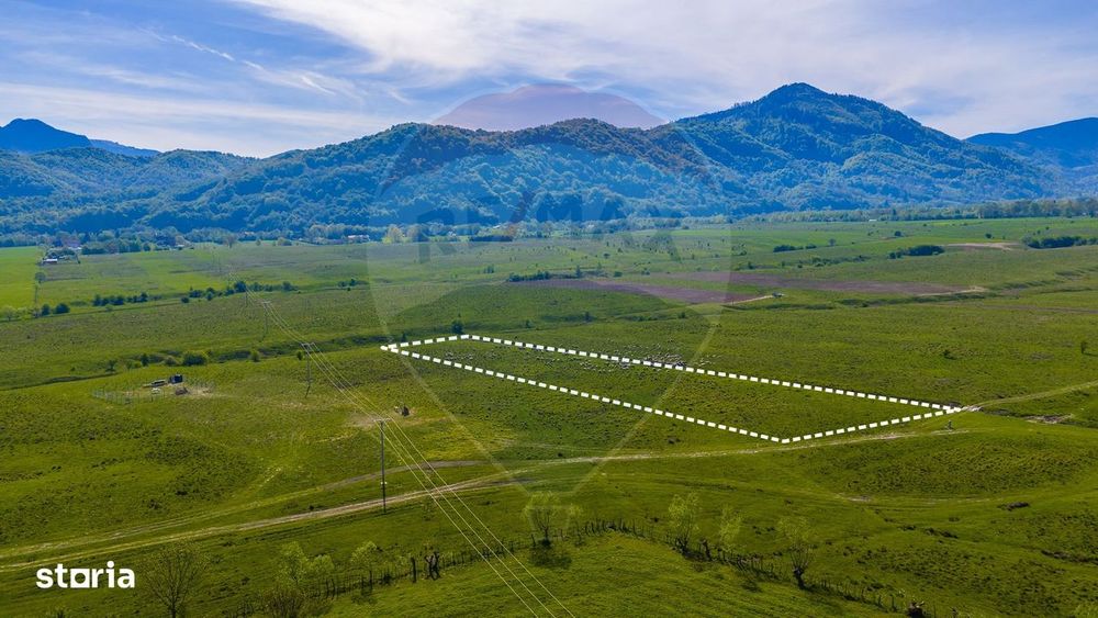 Teren 1ha, extravilan Rasnov / Agricultură sau fermă/ COMISION 0%