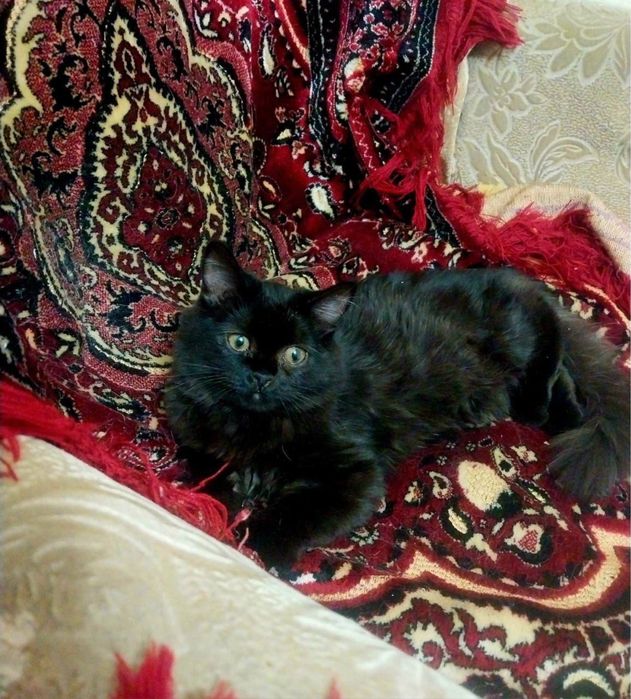 Девочка ждет свою семью!