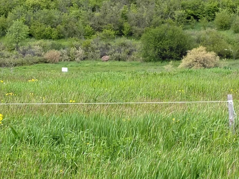 Продава се Земеделски имот в Дебелец -  кв.м за 7 €/дка - Снимка #8