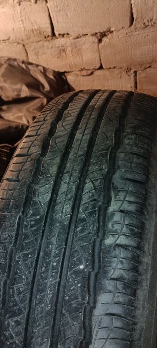 Продам шины triangle