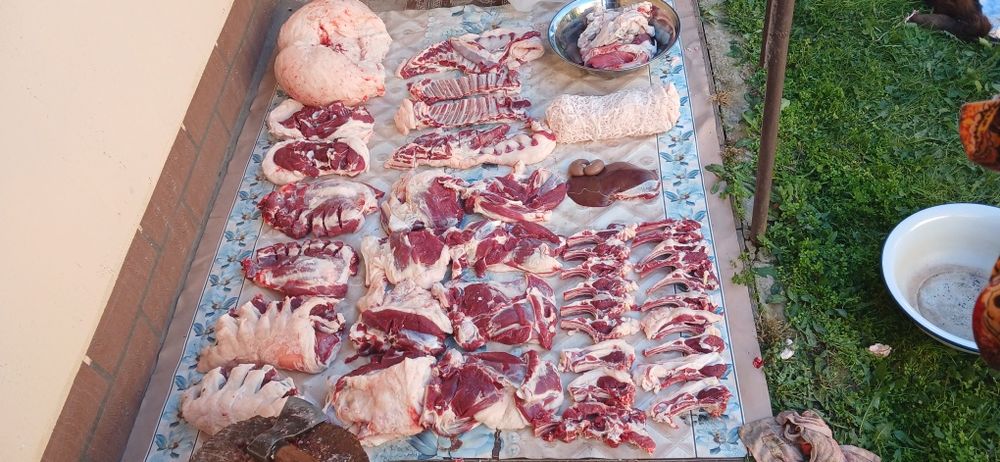 Qassob xizmati 24/7 Qochqorlar bor