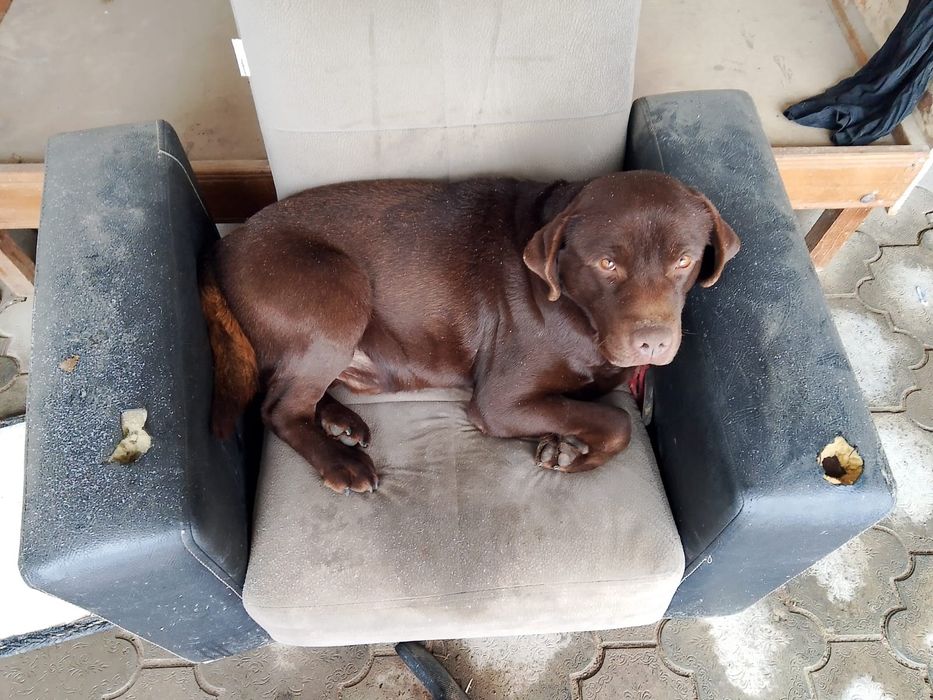 Срочно  сатылады