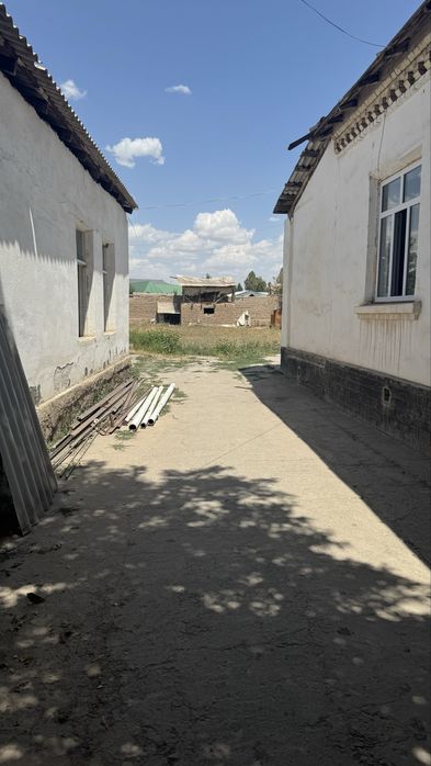 Мирзо Улугбек шахри Чингельди махалласи Янги Узбекистан Парк йонида