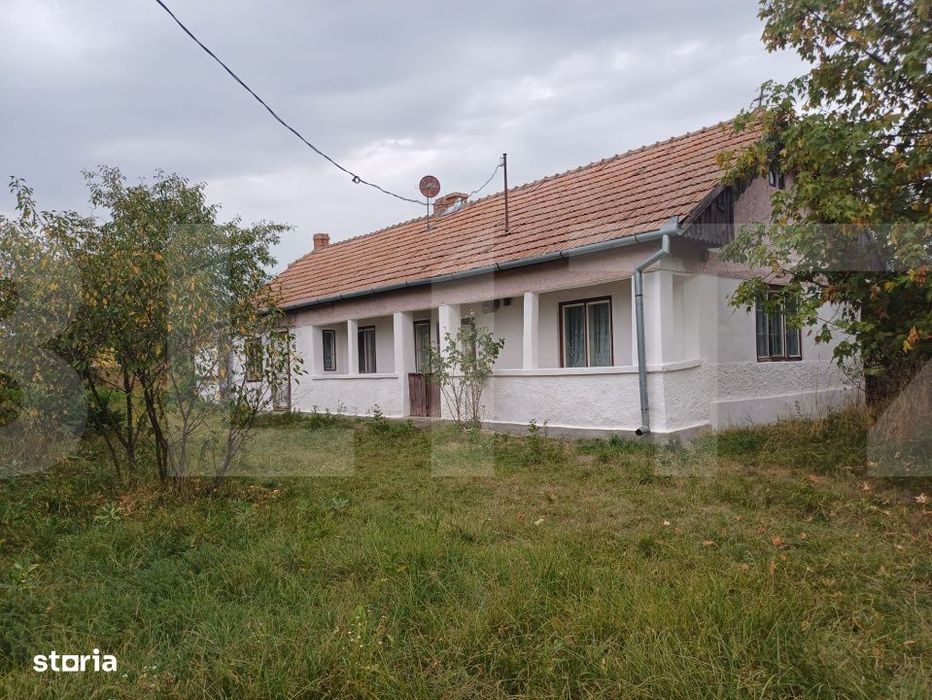 Casa taraneasca in centru Hatuica