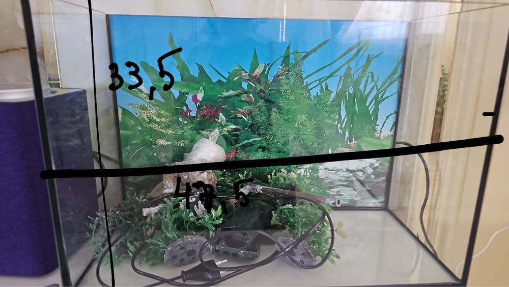 Аквариум продается
