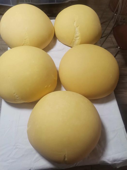 Caș de vacă și Urda