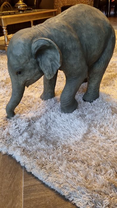 elefant fibra fibra de sticla si compozit