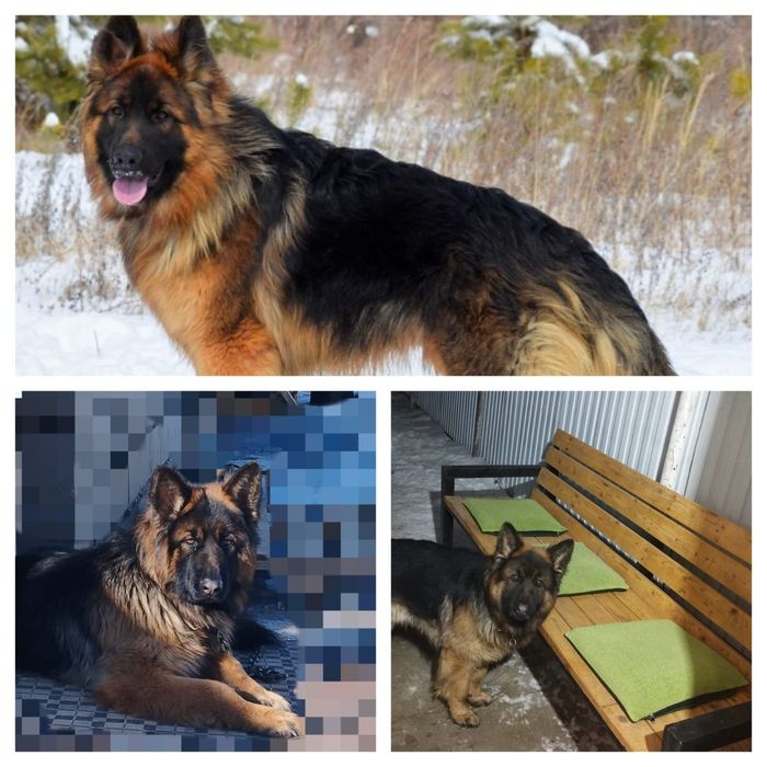 Молодой красивый кабель