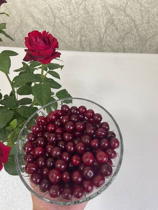 премиум садовая вишня — свежий урожай