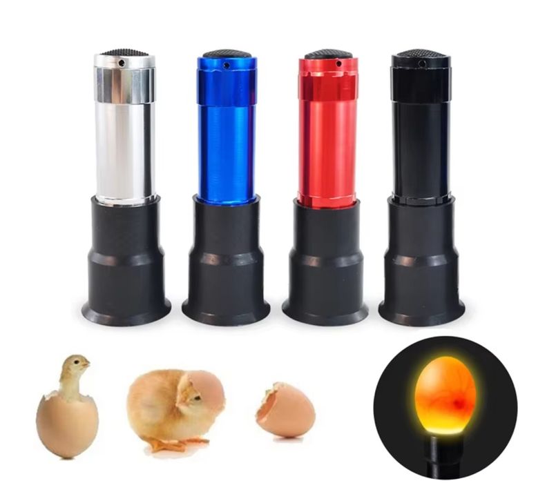 Фенер, прожектор за проверка на яйца