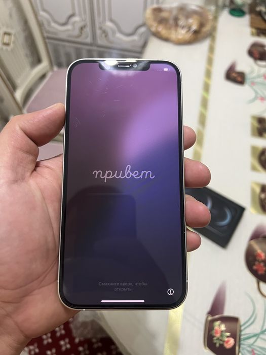 Iphone 12 Pro Max 256gb