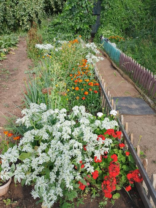 Продам дачу в обществе Рассвет.