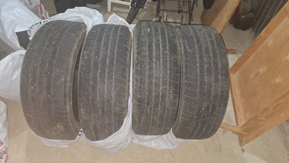 Шины Мишлен 255×45 R19