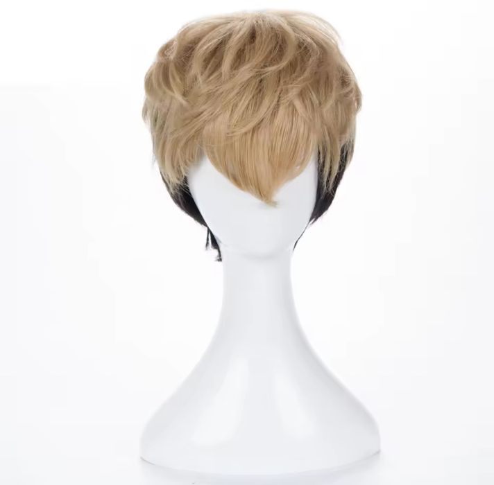Choose one or more wigs