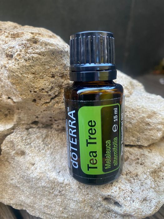 Етерично масло Tea tree /Чаено дърво/ на Дотерра