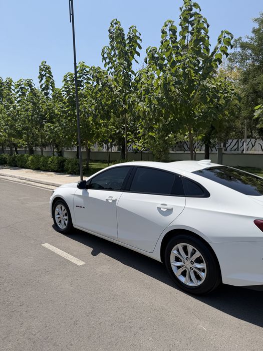 Malibu XL 2023 tozza