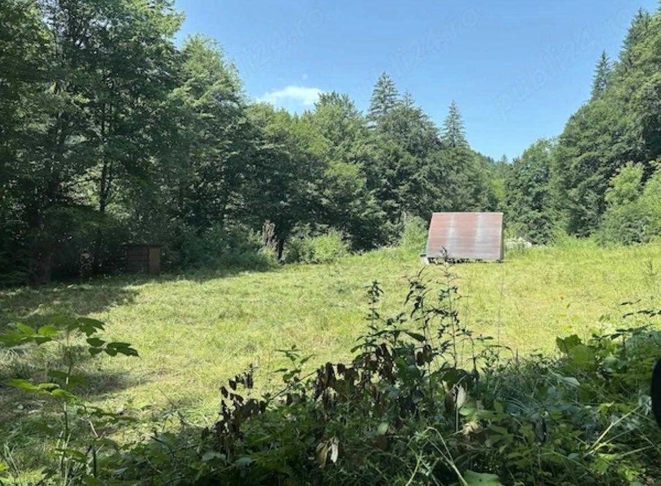 Teren munte, Brates- Tarcau- Piatra Neamt, teren cu o cabanuta