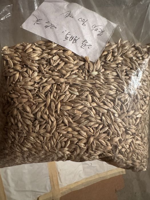 Продам Ячмень дешево