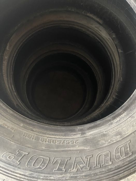 Продам шины летние Dunlop