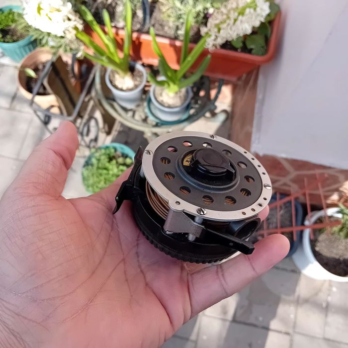 Mulineta pescuit fly