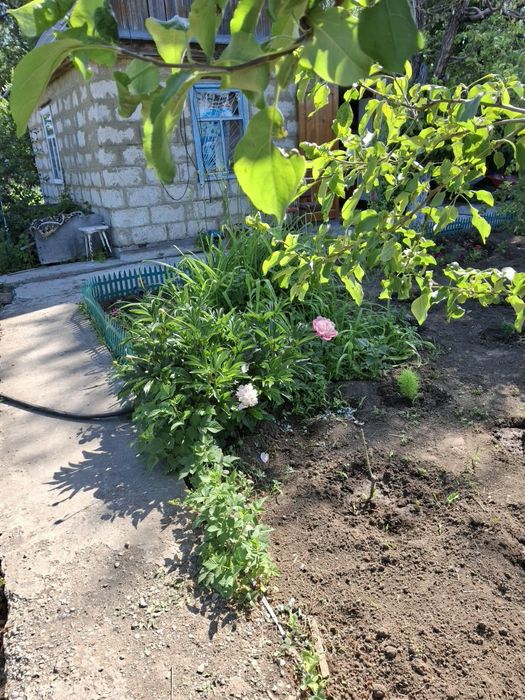 Продам дачу ск локомотивное 10