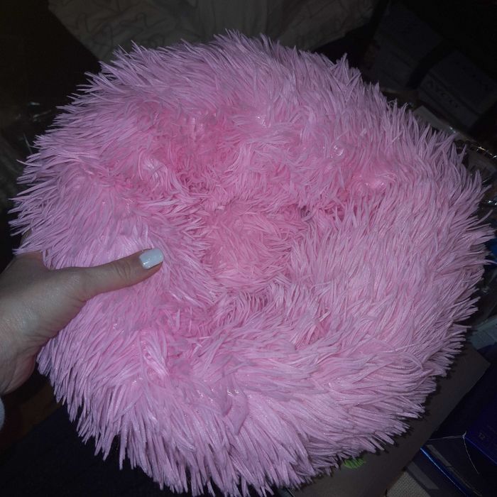 Легло за коте или мини порода куче