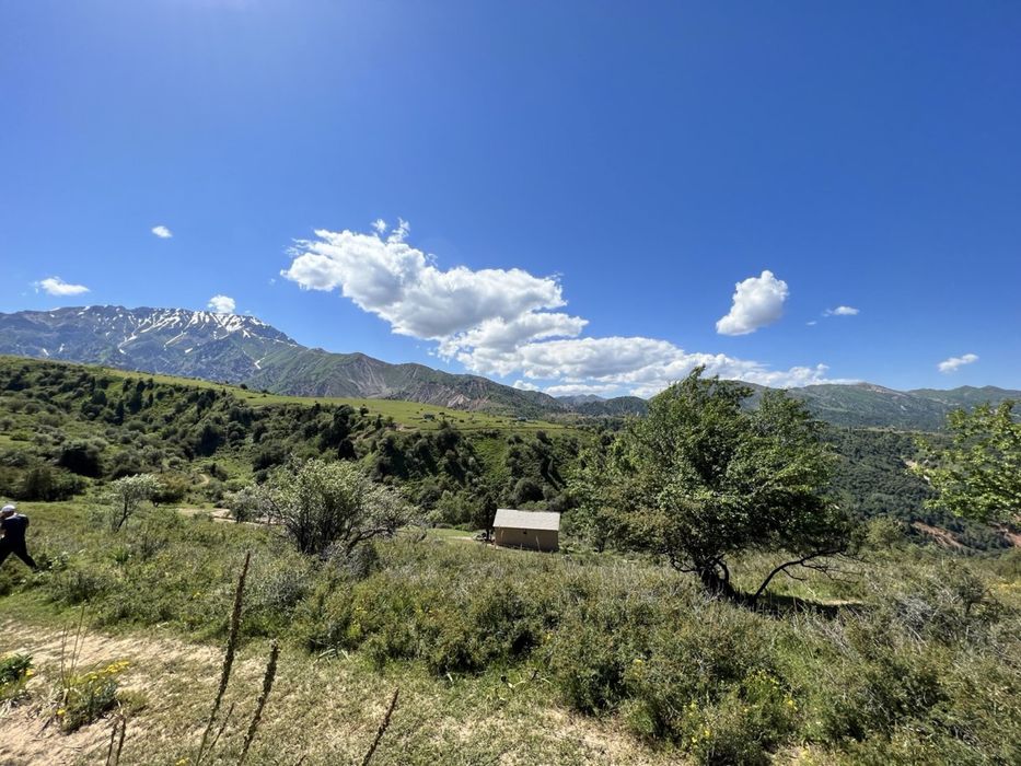 СРОЧНО! Продаётся уникальный земельный участок в горах Чимгана!