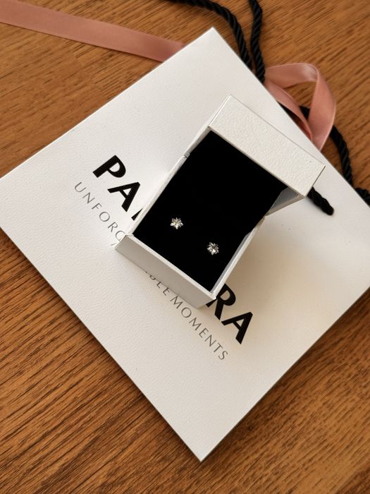 Пандора обеци Pandora