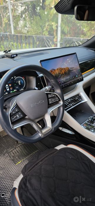 1BYD Чемпион гибрид
