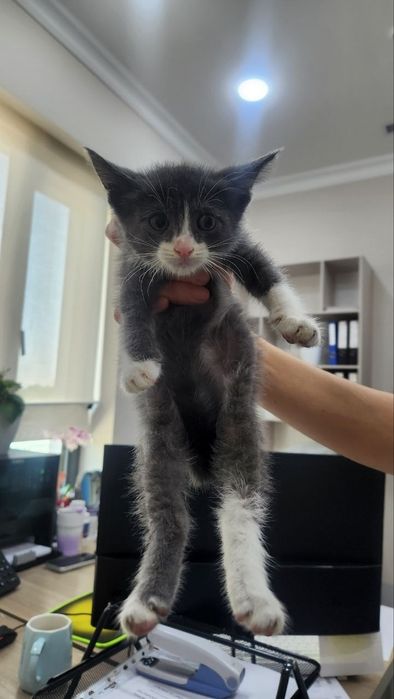 Замечательные малыши ищут свою семью где их будут любить